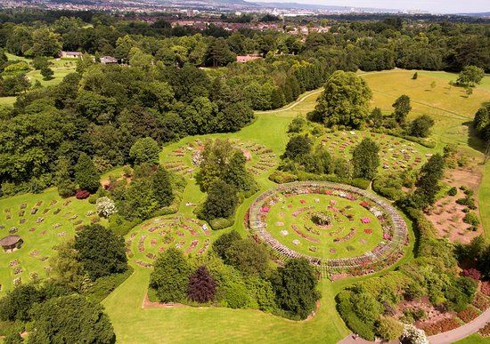 Belfast Şehri Uluslararası Gül Bahçesi